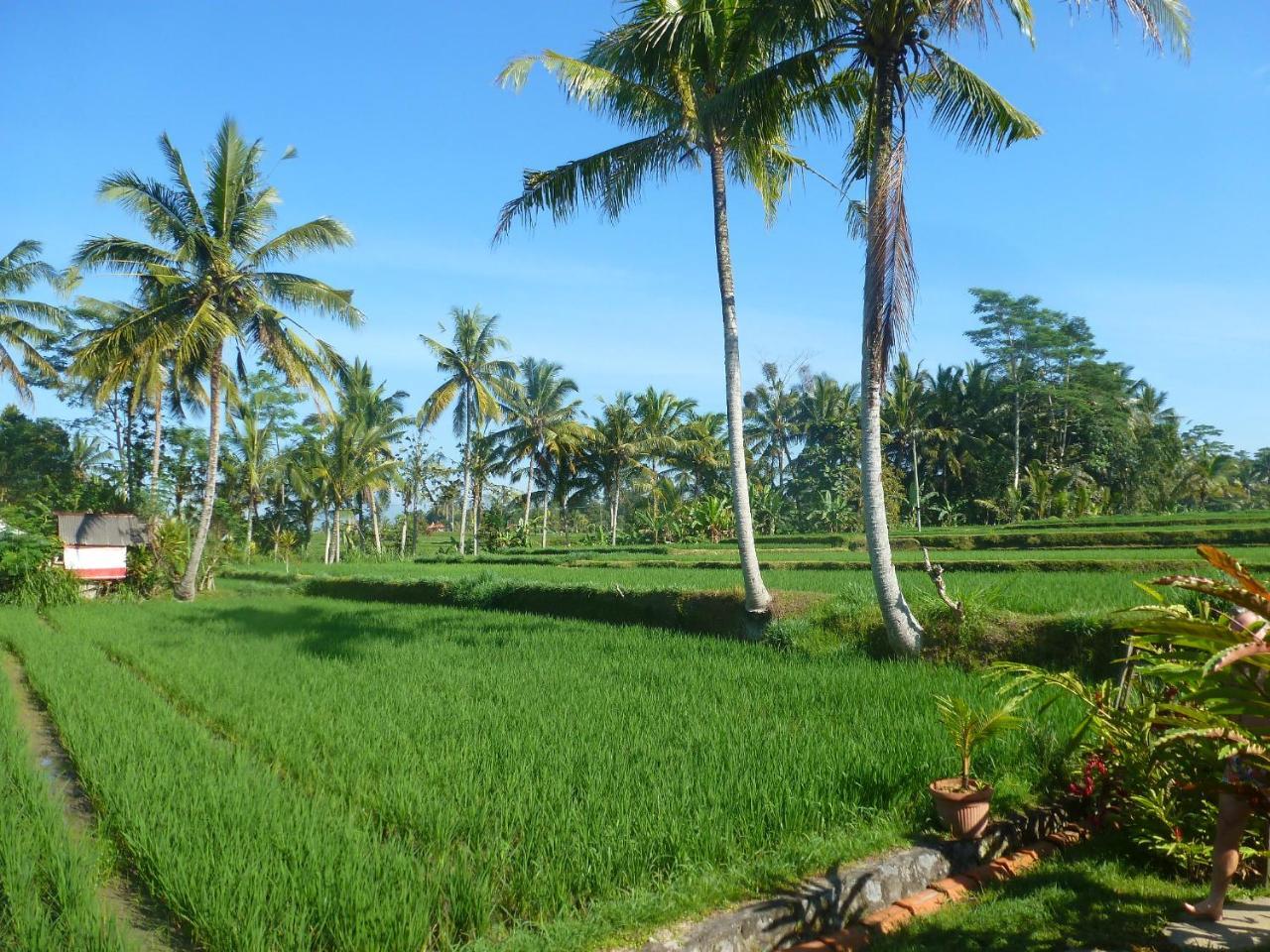 Bali Sawah Indah Gasthuis
