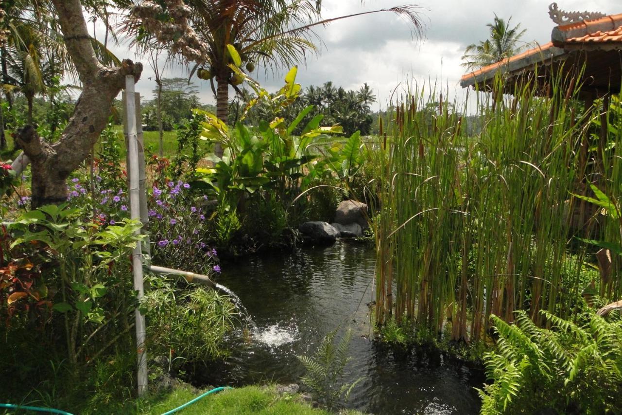 Gasthuis Bali Sawah Indah *
