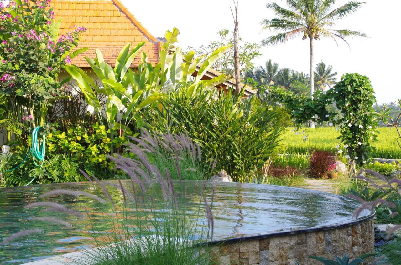 Bali Sawah Indah Gasthuis *