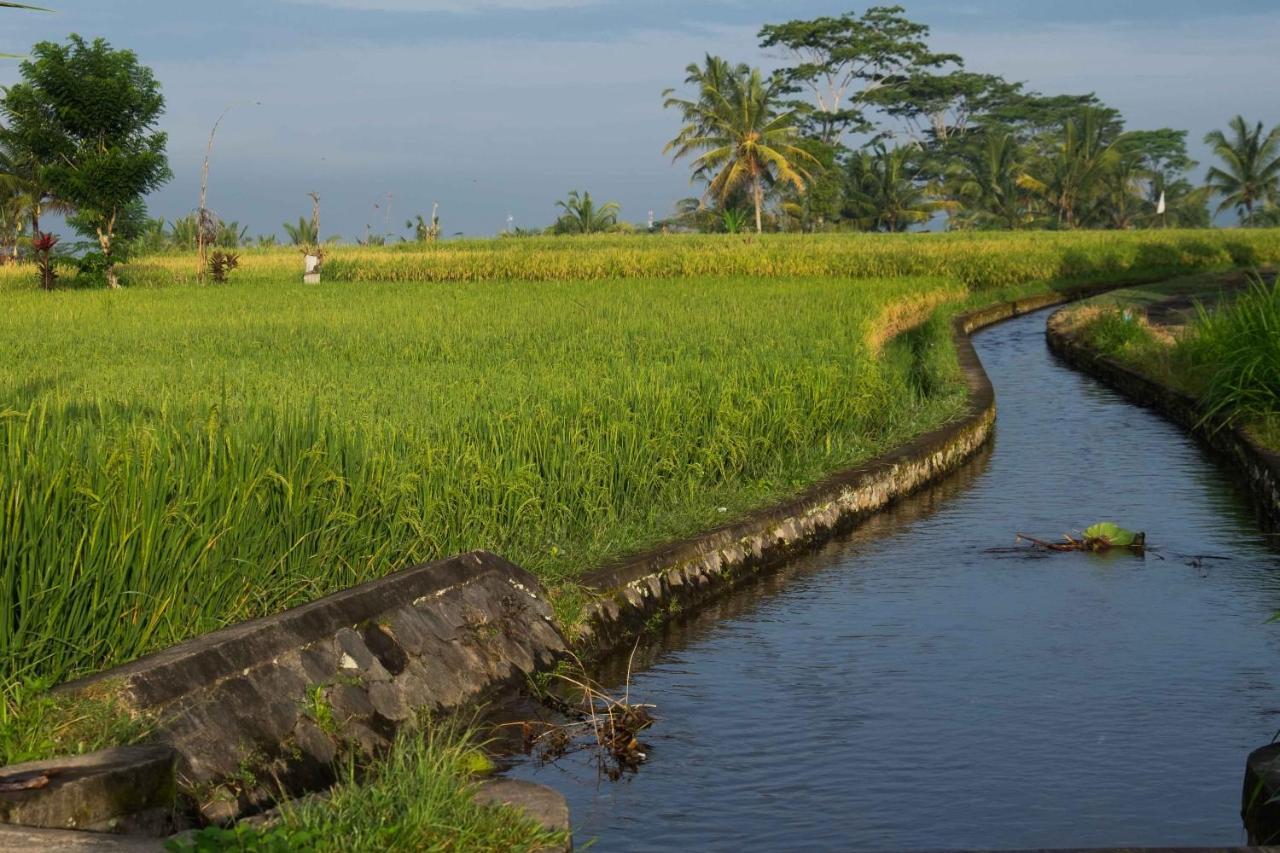 Bali Sawah Indah Gasthuis